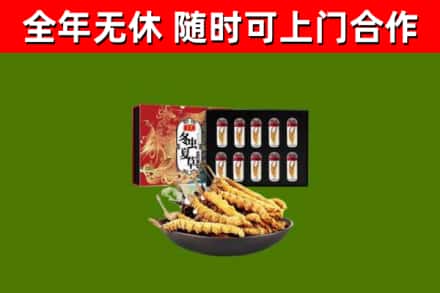 双峰回收冬虫夏草价格