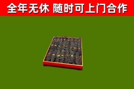 双峰回收海参